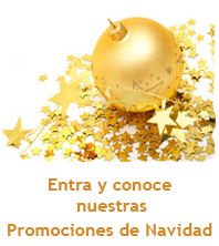 Nuestras promociones por navidad son ... ¡Irresisitibles!